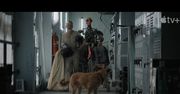 Zobacz nowy zwiastun filmu Finch z Tomem Hanksem w roli głównej