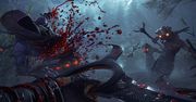 Shadow Warrior 2 bez zabezpieczeń Denuvo