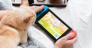 Nintendo Switch Pro coraz bliżej. Mówi się o 4K