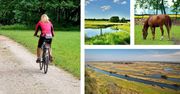 Green Velo: najlepsze trasy rowerowe w województwie podlaskim