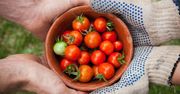 Sposób na agroturystę