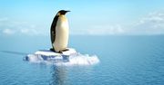 Linux 6.1 zadebiutował. Dumny, bo i ma ku temu powód