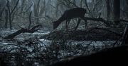Tak powstawała scena otwierająca serial Wiedźmin od Netflix