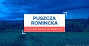 Puszcza Romincka - dlaczego warto ją odwiedzić?