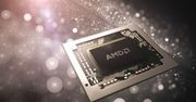 AMD przygotowuje procesor Fenghuang Raven - tajna broń w segmencie profesjonalnym? [AKT.]