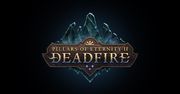 Pillars of Eternity II: Deadfire - wizyta w mieście
