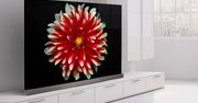 Telewizory OLED - ich znaczenie rośnie powoli, a król jest tylko jeden