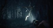 Blair Witch - polski horror na zwiastunie z Gamescom 2019