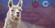 Twój własny AI Chatbot serwer na Raspberry Pi? LLaMA Ci w tym pomoże!