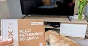 Telewizja Nowej Generacji z Play. Sprawdzimy dla was, co potrafi Play BOX TV
