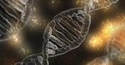 Skoro w DNA można ukryć dane, to może to być też złośliwy kod