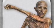 Żył 5300 lat temu. Kim naprawdę był Ötzi?