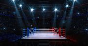 THQ Nordic wyda nieźle zapowiadającą się grę wrestlingową AEW: Fight Forever