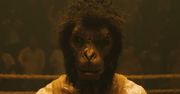 Monkey Man to nowy John Wick? Niedoszły hit Netflixa chce podbić wielkie ekrany