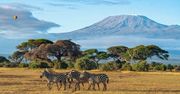 Kenia - kiedy warto polecieć i co warto wiedzieć o temperaturach i klimacie?
