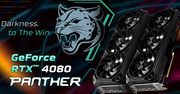 Gainward wprowadza karty Panther. Drapieżne modele w dobrej cenie?