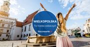 5 pomysłów na jednodniowe wycieczki po Wielkopolsce. Gdzie się wybrać?