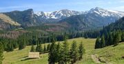 Polana Kalatówki. Spacer Drogą Brata Alberta i atrakcje na trasie