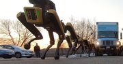 Fascynujący zaprzęg robotów SpotMini od Boston Dynamics