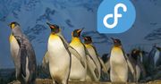 Linux z klasą. Fedora 38 już do pobrania