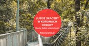 Lubisz spacer w koronach drzew? Mamy dobrą wiadomość!