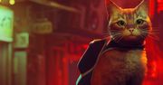Kot i cyberpunk? Stray udowadnia, że to podwójnie dobre połączenie. Recenzja