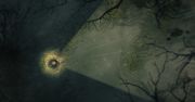 Dlaczego twórcy gry Darkwood sami wrzucili ją na The Pirate Bay?