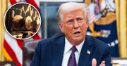 Wyrzucił do śmieci skarb wart 3,4 miliarda zł. Teraz prosi Trumpa o pomoc