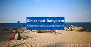 Plaże bez sinic. Bezpieczne kąpieliska nad Bałtykiem