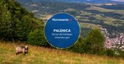 Palenica - szczyt dla każdego miłośnika gór