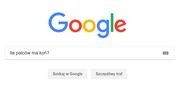 Oto czego szukaliśmy w Google w 2018 roku