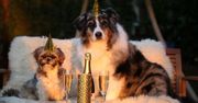 Sylwester coraz bliżej - 5 pomysłów na niezapomnianą zabawę