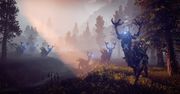 Pośmialiśmy się, ale Horizon: Zero Dawn na PC jest coraz bardziej prawdopodobny