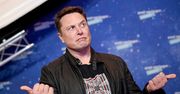 Musk informuje o wstrzymaniu transakcji z Twitterem. Ceny akcji platformy spadają