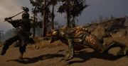 Nowe RPG od Piranha Bytes na zwiastunie z walkami