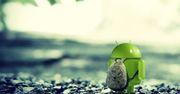 Lenovo zapowiada aktualizację do... Androida O