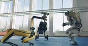 Robot poprawi ci humor - na dobry koniec złego roku