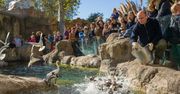 Dzień miłośników ZOO. Które ogrody zoologiczne warto odwiedzić w Polsce?