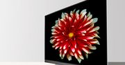 LG Display stawia na OLED-y - coraz ciekawsze, coraz więcej