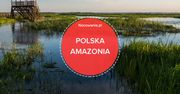 Polska Amazonia. Dlaczego warto się wybrać do Narwiańskiego Parku Narodowego?