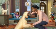 The Sims 4: Psy i koty - dodatek już dostępny