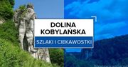 Dolina Kobylańska - szlaki i ciekawostki