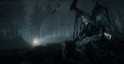 Polski Blair Witch oceniony - mogło być lepiej