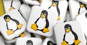 Nowy Linux wydany, nie bez kontrowersji