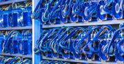 Policja zamknęła farmę kryptowalut - zniszczono koparki o wartości 5 mln złotych