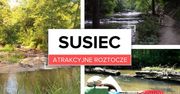 Atrakcyjne Roztocze: Susiec