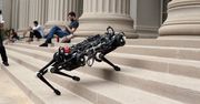 Cheetah to dowód na to, że „niewidomy” robot może być supersprawny