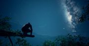 Ancestors: The Humankind Odyssey na premierowym zwiastunie