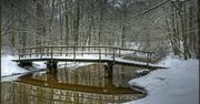 Pogoda na drugi tydzień lutego 2017