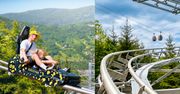 40 km/h i dwie wieże nad Beskidami. W Szczyrku rusza Alpine Coaster Salamandra